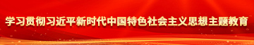 红桃国际一起草学习贯彻习近平新时代中国特色社会主义思想主题教育